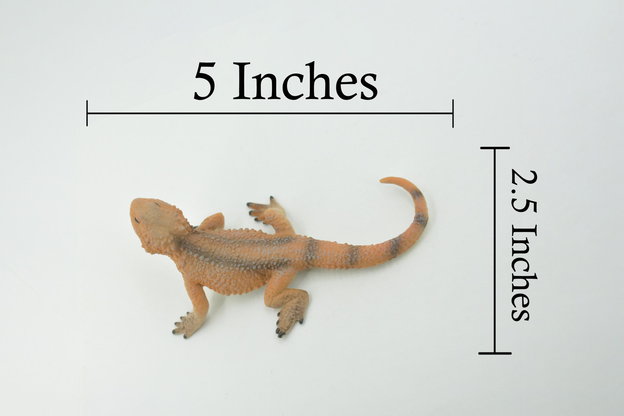 Lizard, Bearded Dragon, Pogona, Reptile, Museum Quality, Hand Painted, Rubber, Educational, Realistic, Lifelike, Toy, Kids, Gift,    5"    CH686 BB172