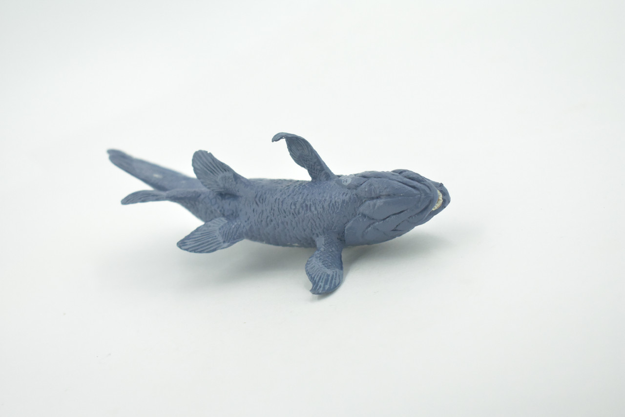 Coelacanths, Extinct Fish, Cretaceous Period, Museum Quality, Hand Painted, Rubber, Educational, Realistic, Lifelike, Toy, Kids, Gift,       5 1/2"     CH688 BB173