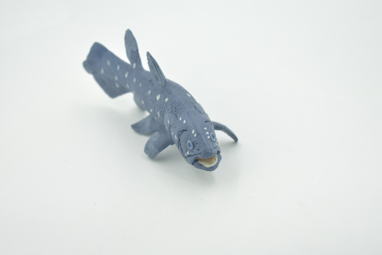 Coelacanths, Extinct Fish, Cretaceous Period, Museum Quality, Hand Painted, Rubber, Educational, Realistic, Lifelike, Toy, Kids, Gift,       5 1/2"     CH688 BB173