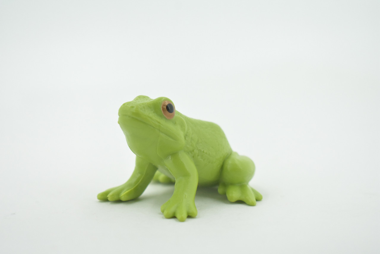 Frog, American Green Garden frog, Amphibians, Museum Quality, Hand Painted, Rubber, Educational, Realistic, Lifelike, Toy, Kids, Gift,       2 1/2"     CH689 BB173