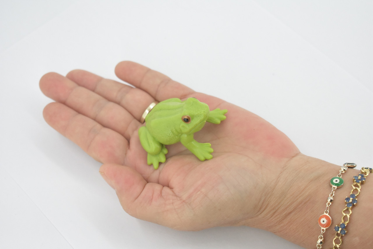 Frog, American Green Garden frog, Amphibians, Museum Quality, Hand Painted, Rubber, Educational, Realistic, Lifelike, Toy, Kids, Gift,       2 1/2"     CH689 BB173