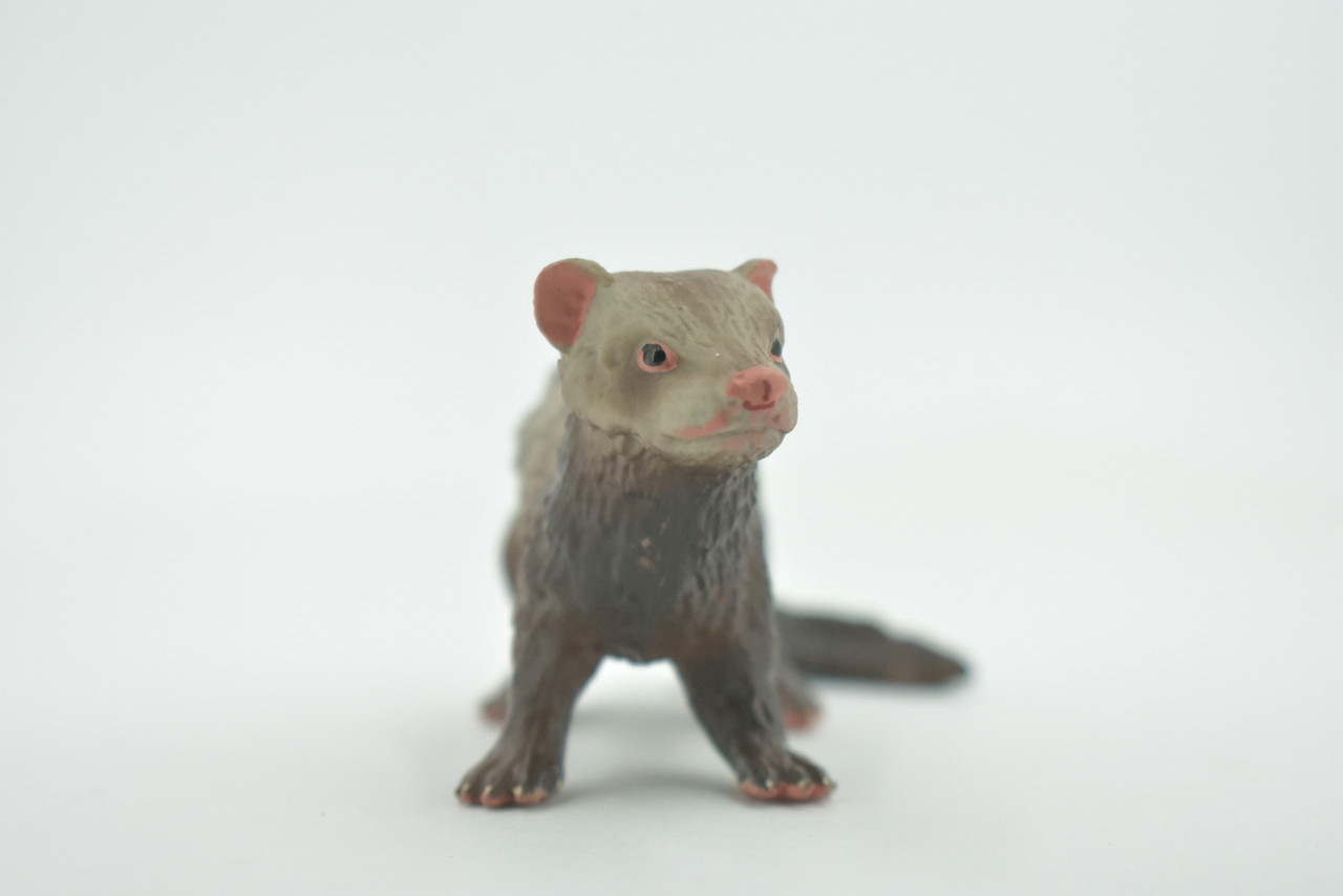 Ferret, Domesticated Weasel, Brown, Mustelidae, Museum Quality, Hand Painted, Rubber, Educational, Realistic, Lifelike, Toy, Kids, Gift, 5" CH692 BB173