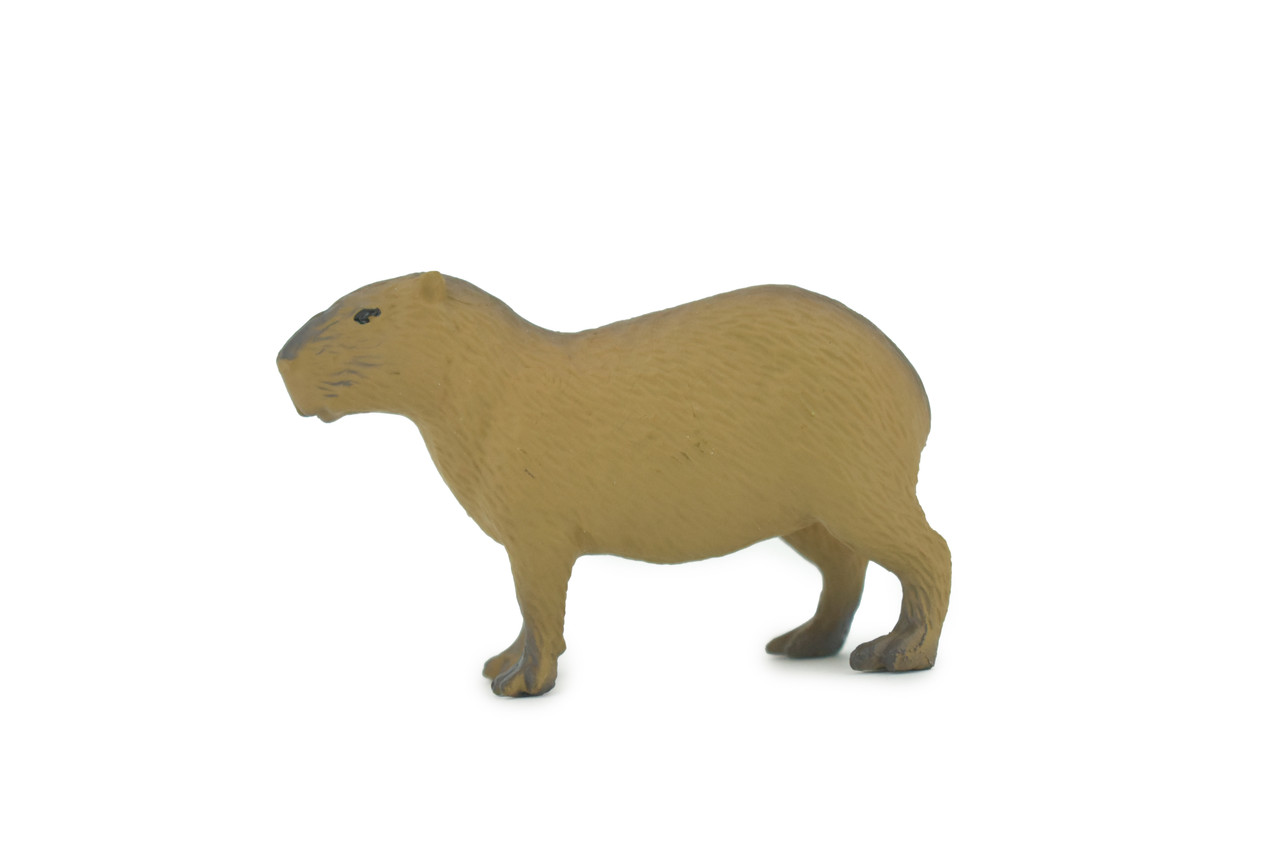 Capybara, Giant Cavy Rodent, Nutria, Baby, High Quality, Hand Painted, Rubber Animal, Realistic, Toy, Figure, Kids, Educational, Gift,       2 1/2"     CH693 BB173   