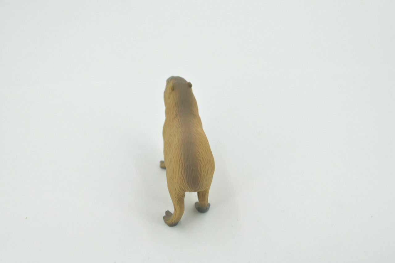 Capybara, Giant Cavy Rodent, Nutria, Baby, High Quality, Hand Painted, Rubber Animal, Realistic, Toy, Figure, Kids, Educational, Gift,       2 1/2"     CH693 BB173   
