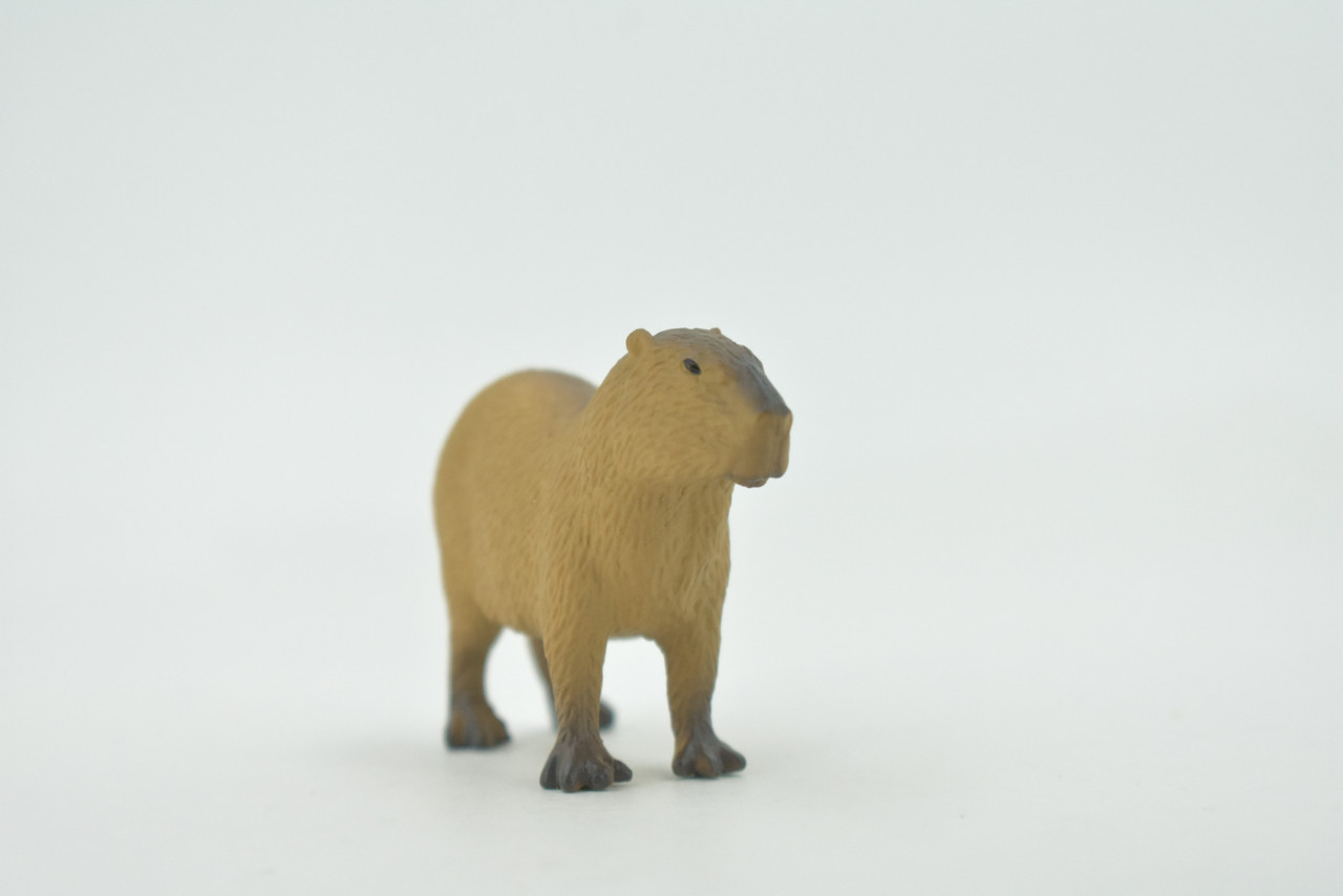 Capybara, Giant Cavy Rodent, Nutria, Baby, High Quality, Hand Painted, Rubber Animal, Realistic, Toy, Figure, Kids, Educational, Gift,       2 1/2"     CH693 BB173   