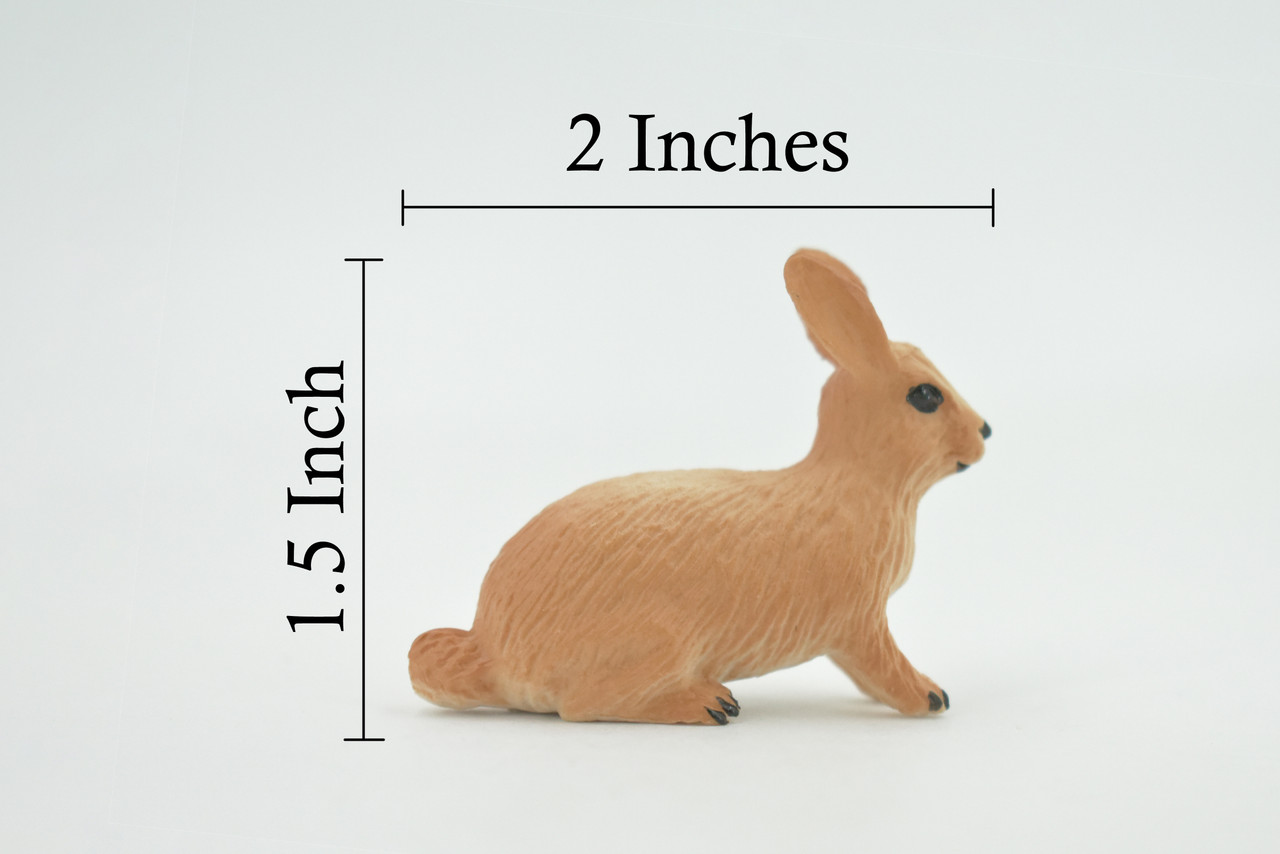 Rabbit, Hare, Bunny Rabbits, Museum Quality, Hand Painted, Rubber Animal, Toy, Figure, Realistic, Model, Replica, Kids, Educational, Gift,        2"      CH694 BB173 