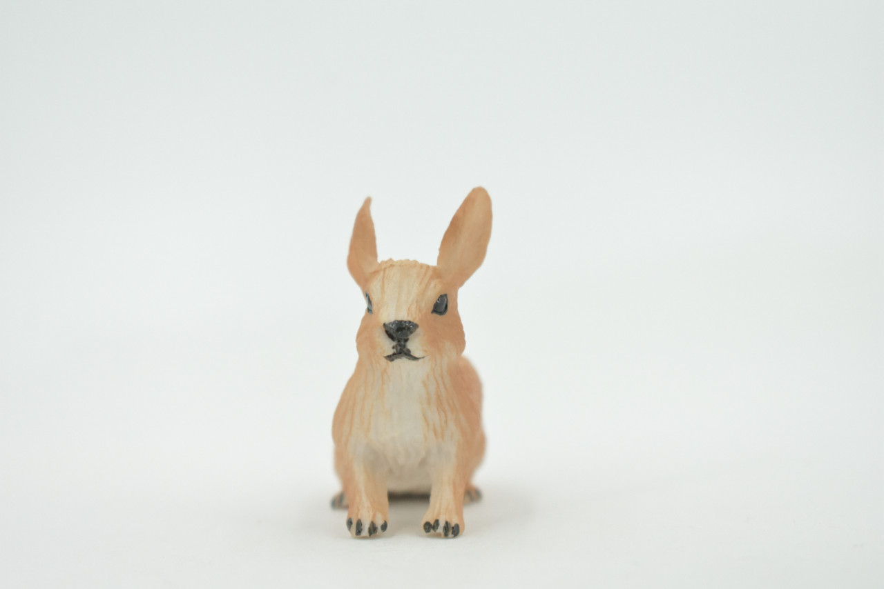 Rabbit, Hare, Bunny Rabbits, Museum Quality, Hand Painted, Rubber Animal, Toy, Figure, Realistic, Model, Replica, Kids, Educational, Gift,        2"      CH694 BB173 