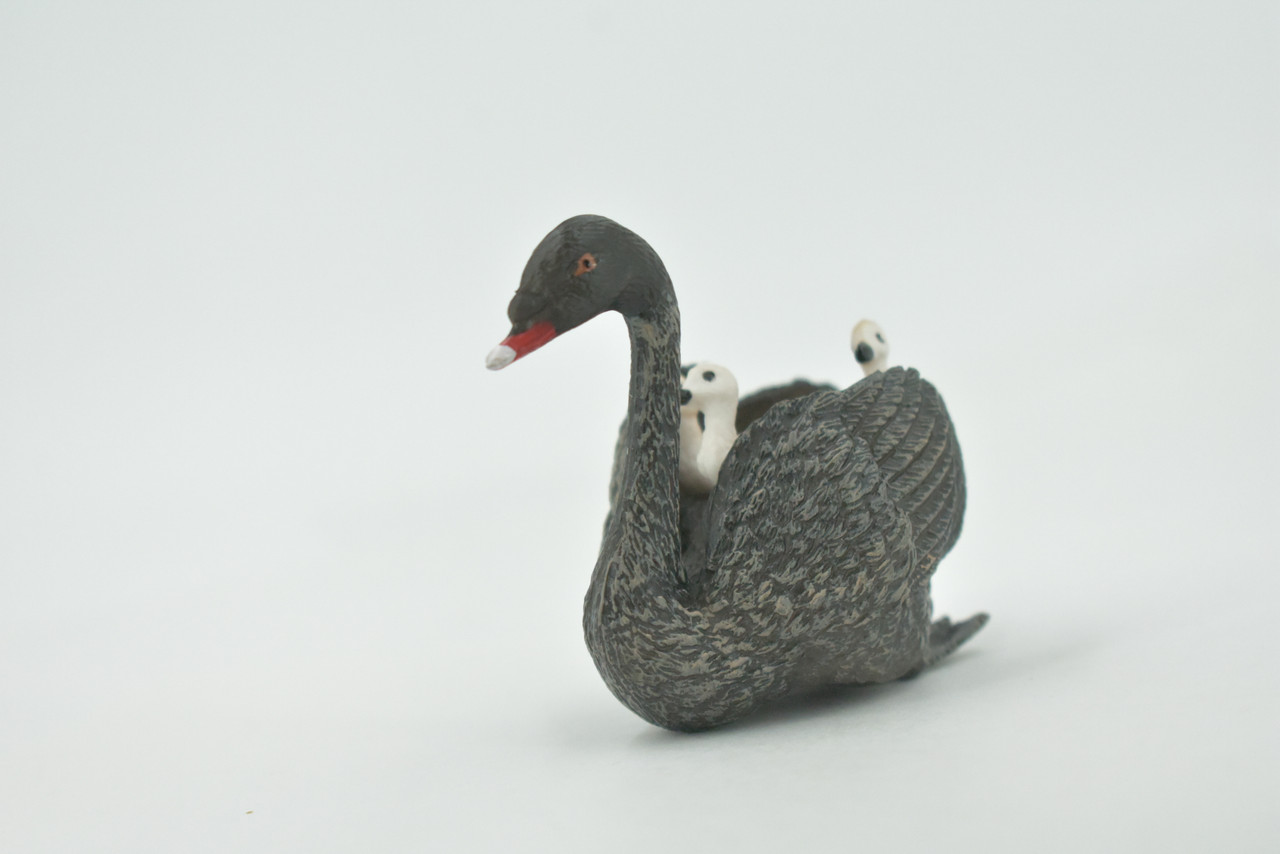 Bird, Black Swan, with Chicks, Babies, Museum Quality, Hand Painted, Rubber, Figure, Realistic, Model, Replica, Toy, Kids, Educational, Gift,     3"    CH695 BB173 