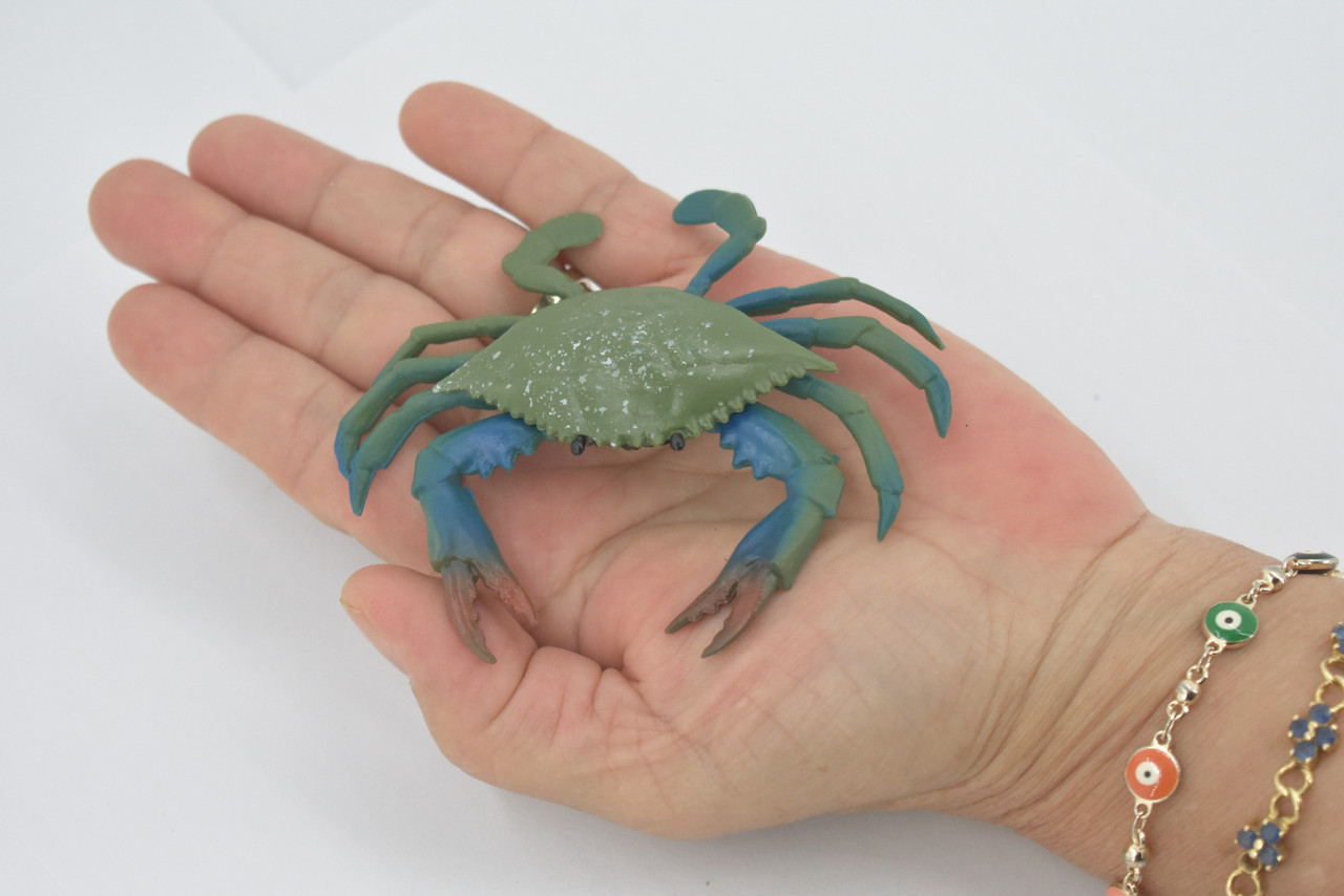 Crab, Blue Crab, Museum Quality, Rubber Crustacean, Hand Painted, Realistic Toy Figure, Model, Replica, Kids, Educational, Gift,       4"       CH696 BB174 