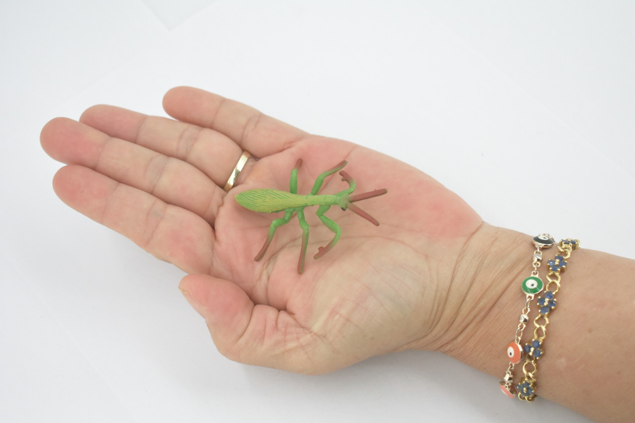 Praying Mantis, Mantidae, High Quality, Hand Painted, Rubber Insect, Realistic, Toy Figure, Model, Replica, Kids, Educational, Gift,       2 1/2"      CH697 BB174