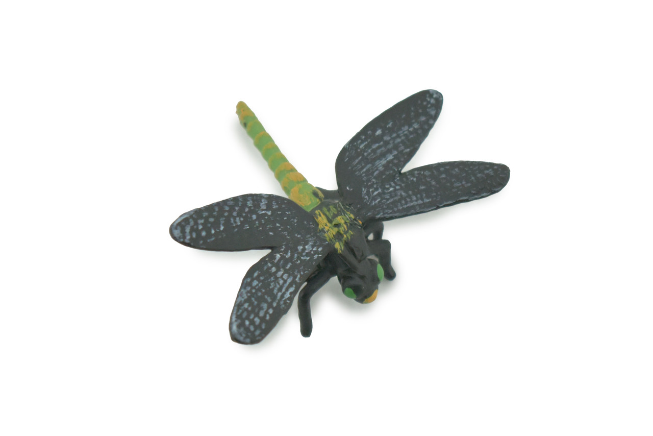 Dragonfly, Dragon Fly, Odonata, High Quality, Hand Painted, Rubber Insect, Realistic, Toy Figure, Model, Replica, Kids, Educational, Gift,       2 "      CH698 BB174