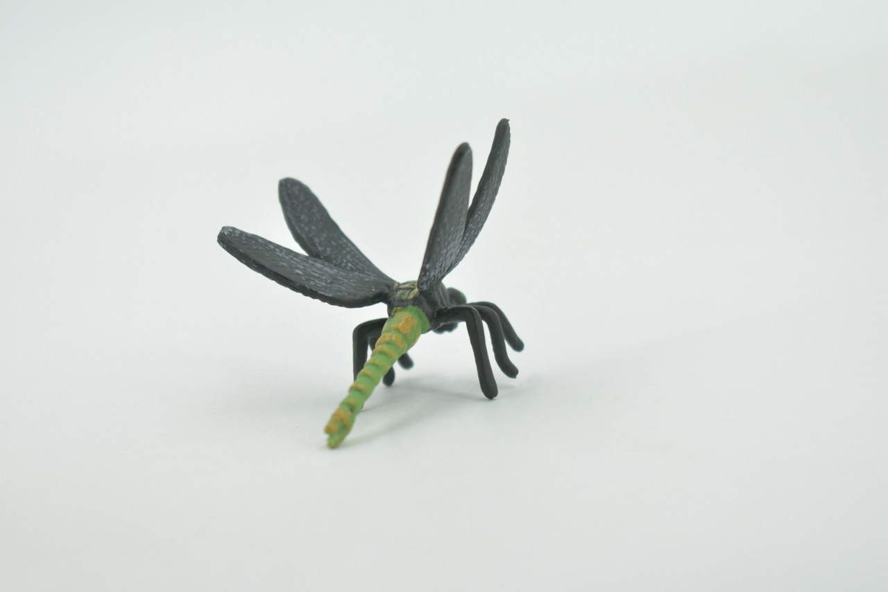 Dragonfly, Dragon Fly, Odonata, High Quality, Hand Painted, Rubber Insect, Realistic, Toy Figure, Model, Replica, Kids, Educational, Gift,       2 "      CH698 BB174