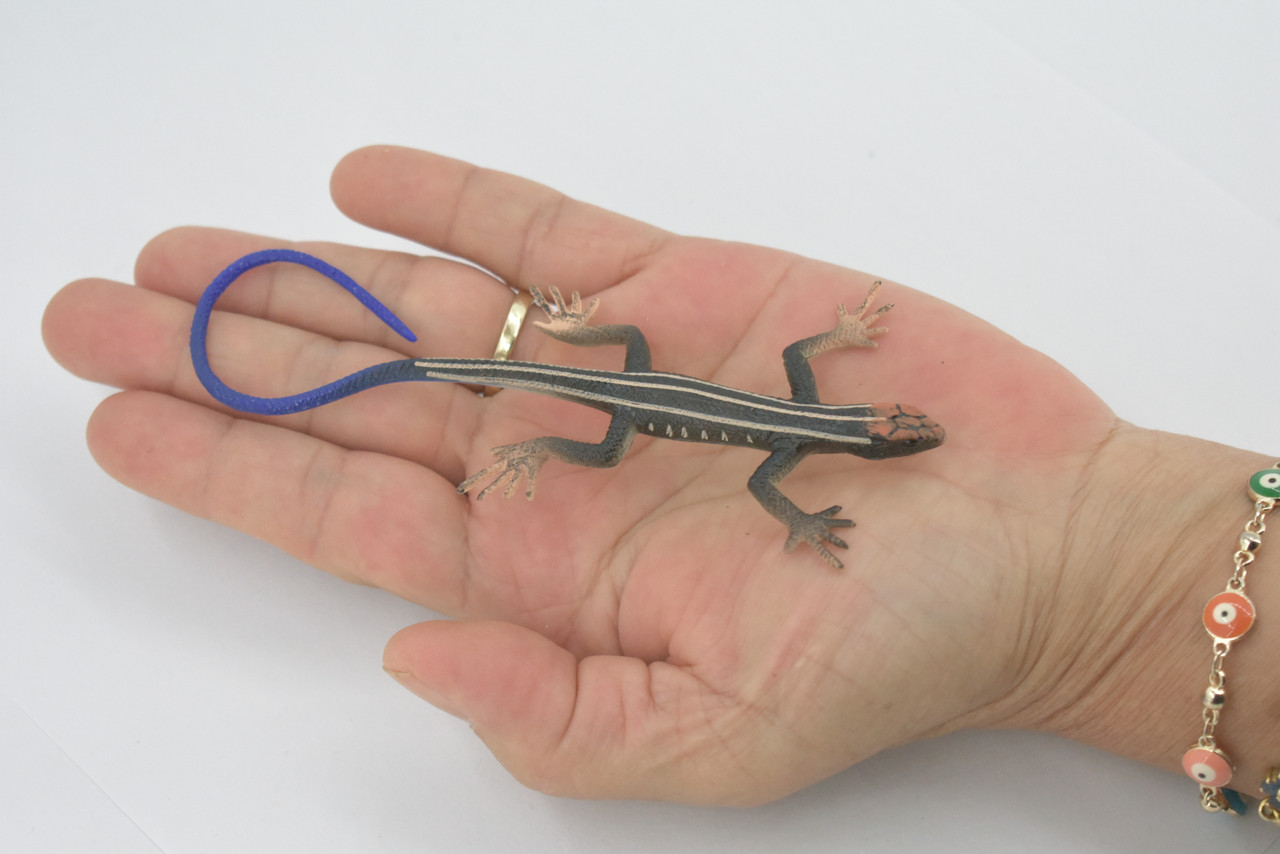 Lizard, Western skink, American five-lined Skink, Museum Quality, Rubber Reptile, Hand Painted, Realistic,  Replica, Toy, Kids, Educational, Gift,     5"     CH699 BB174 