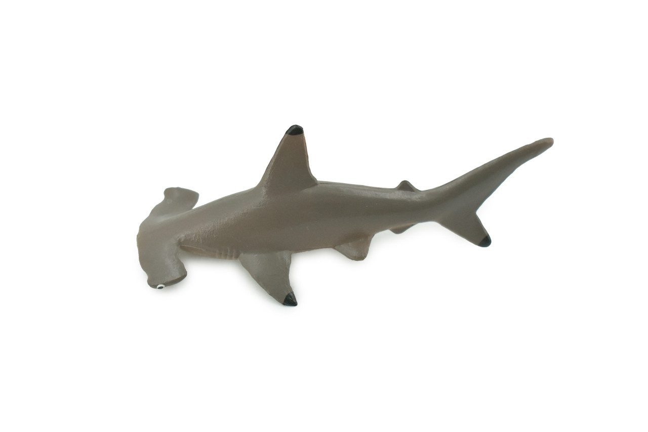 Shark, Scalloped Hammerhead Shark, High Quality, Hand Painted, Realistic,  Rubber, Fish, Figure, Model, Toy, Kids, Educational