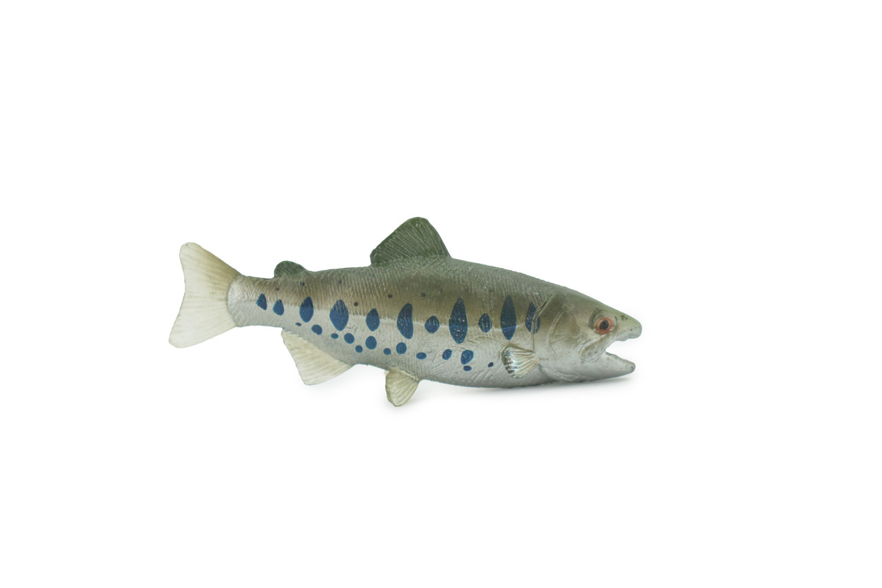 Salmon, Hatchling, alevins, Salmonidae, Museum Quality, Hand Painted, Realistic, Rubber Fish, Figure, Model, Replica, Toy, Kids, Educational, Gift,   3"   CH701 BB174