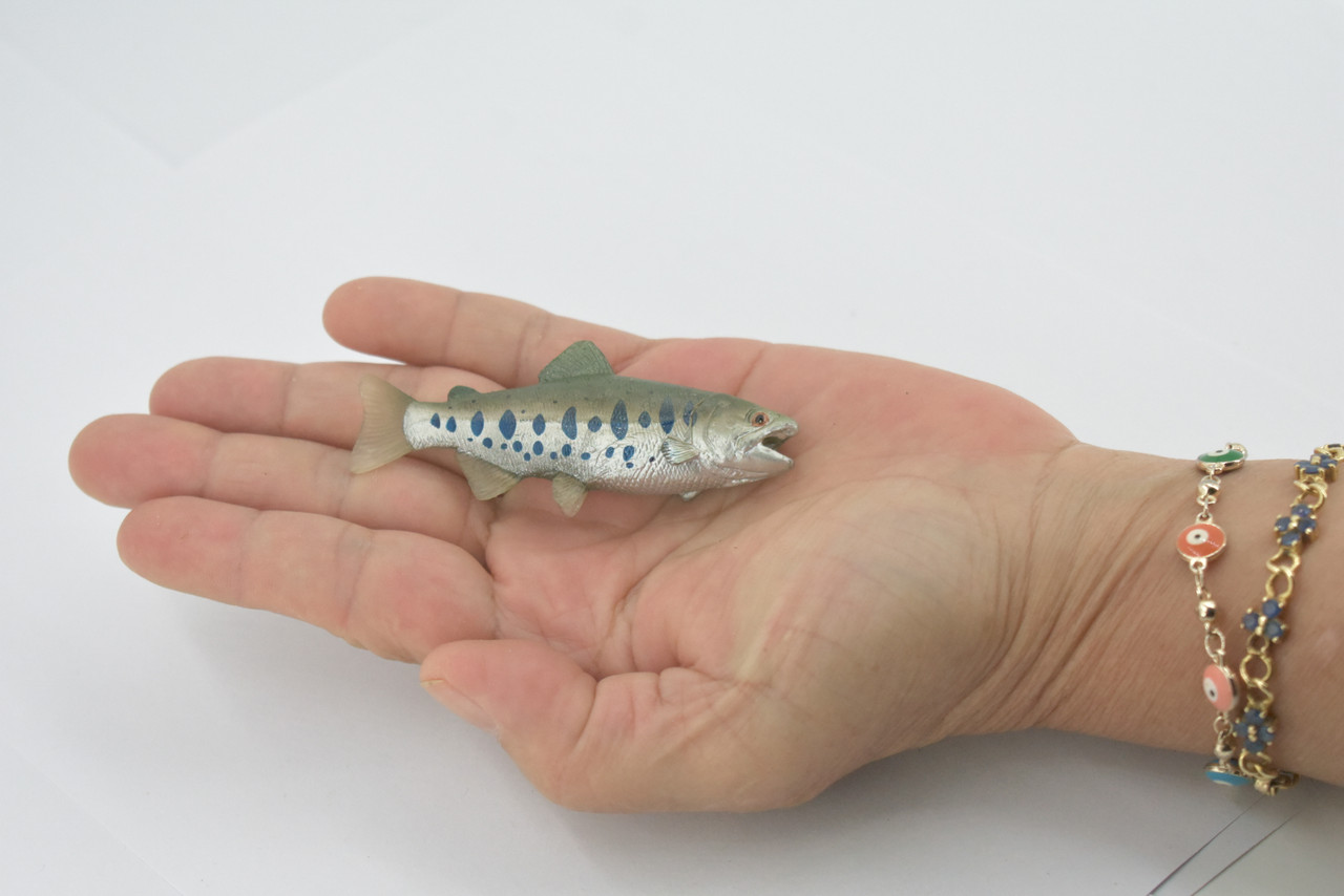 Salmon, Hatchling, alevins, Salmonidae, Museum Quality, Hand Painted, Realistic, Rubber Fish, Figure, Model, Replica, Toy, Kids, Educational, Gift,   3"   CH701 BB174