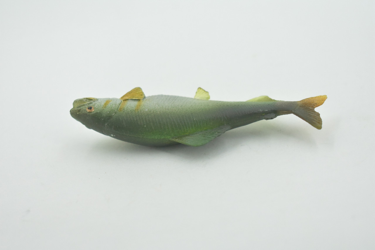 Fish, Coho Salmon, Silver, Salmonidae, Museum Quality, Hand Painted, Realistic, Rubber, Figure, Model, Replica, Toy, Kids, Educational, Gift,      3"   CH702 BB174