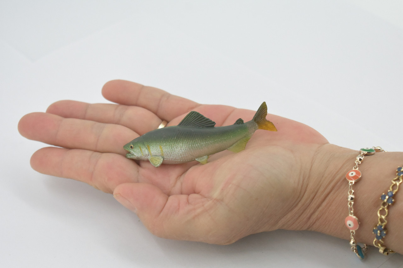 Fish, Coho Salmon, Silver, Salmonidae, Museum Quality, Hand Painted, Realistic, Rubber, Figure, Model, Replica, Toy, Kids, Educational, Gift,      3"   CH702 BB174