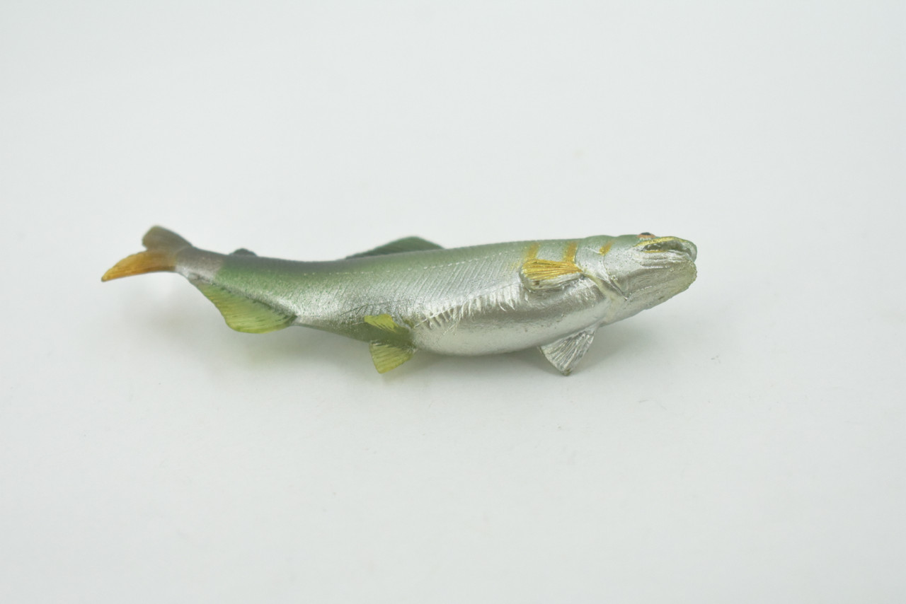 Fish, Coho Salmon, Silver, Salmonidae, Museum Quality, Hand Painted, Realistic, Rubber, Figure, Model, Replica, Toy, Kids, Educational, Gift,      3"   CH702 BB174