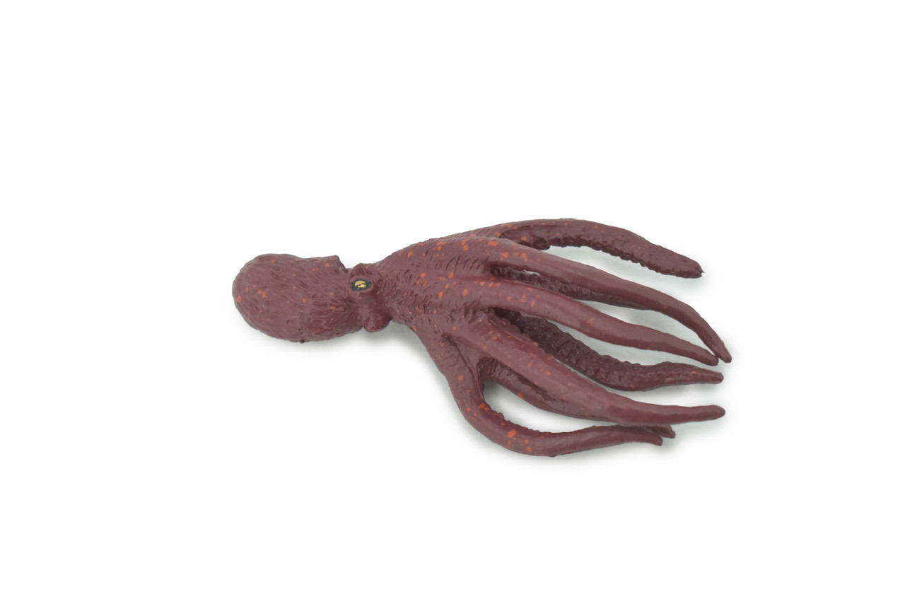 Octopus, Octopodes, Octopoda, Octopi, Museum Quality, Hand Painted, Rubber, Realistic Figure, Model, Replica, Toy, Kids, Educational, Gift,     3 1/2"     CH705 BB174