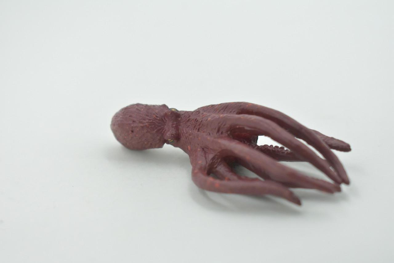 Octopus, Octopodes, Octopoda, Octopi, Museum Quality, Hand Painted, Rubber, Realistic Figure, Model, Replica, Toy, Kids, Educational, Gift,     3 1/2"     CH705 BB174