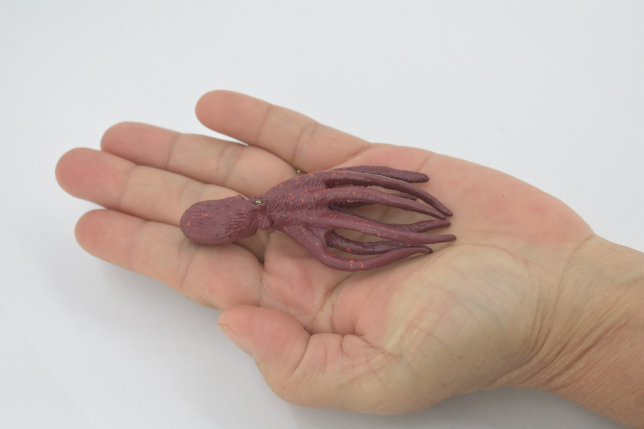 Octopus, Octopodes, Octopoda, Octopi, Museum Quality, Hand Painted, Rubber, Realistic Figure, Model, Replica, Toy, Kids, Educational, Gift,     3 1/2"     CH705 BB174