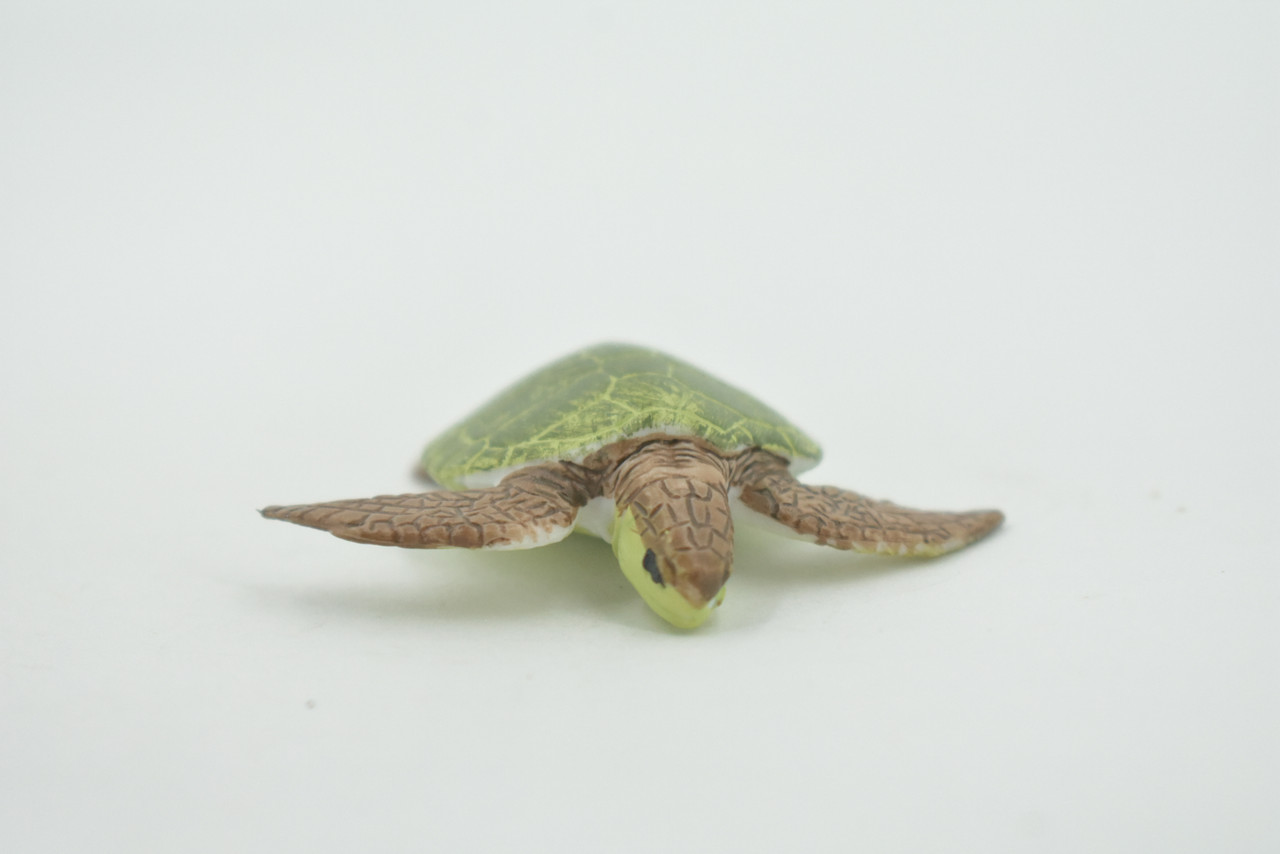 Turtle, Green Sea Turtle, Museum Quality, Hand Painted, Rubber Reptile, Realistic, Figure, Model, Replica, Toy, Kids, Educational, Gift,     2"     CH706 BB174