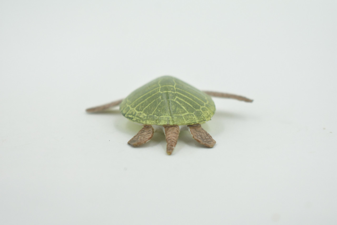 Turtle, Green Sea Turtle, Museum Quality, Hand Painted, Rubber Reptile, Realistic, Figure, Model, Replica, Toy, Kids, Educational, Gift,     2"     CH706 BB174