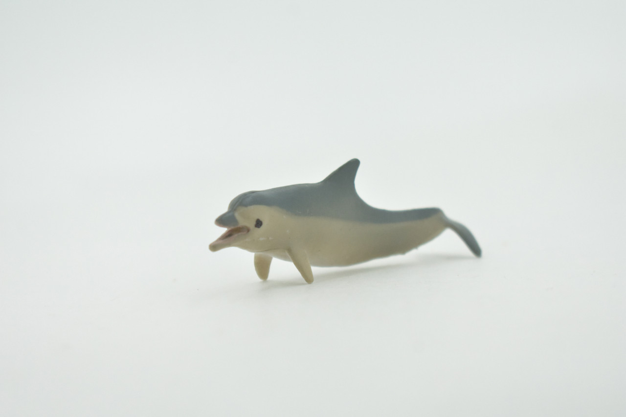 Dolphin, White sided dolphin, Bottlenose, High Quality, Hand Painted, Rubber, Realistic, Figure, Model, Replica, Toy, Kids, Educational, Gift,    2 1/2"        CH712 BB174