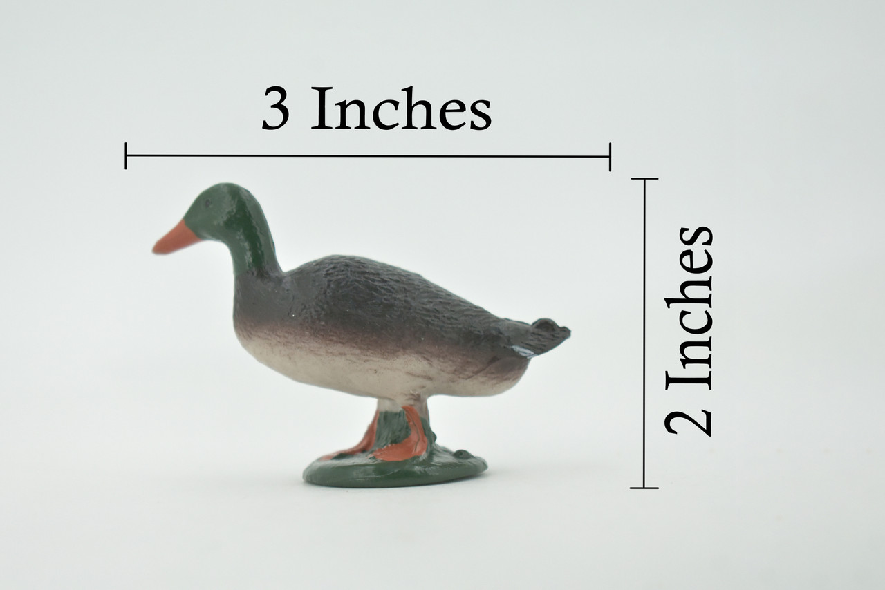 Bird, Mallard Duck, Drake, Male, Museum Quality, Hand Painted, Rubber, Realistic, Figure, Model, Replica, Toy, Kids, Educational, Gift,        3"        CH715 BB174