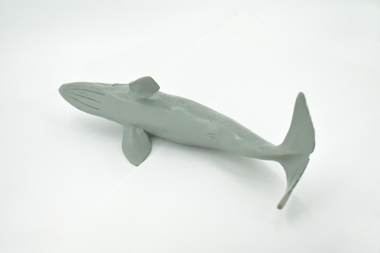 Gray Whale, Cetaceans, Grey Whale, Museum Quality, Hand Painted, Rubber, Realistic, Figure, Model, Replica, Toy, Kids, Educational, Gift,       12"        CH718 BB175  