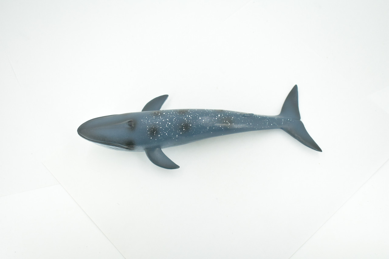 Whale, Blue Whale, Cetaceans, Marine Mammal, Hand Painted, Museum Quality, Rubber, Realistic Toy Figure, Model, Educational, Gift,       8"     CH719 BB175 