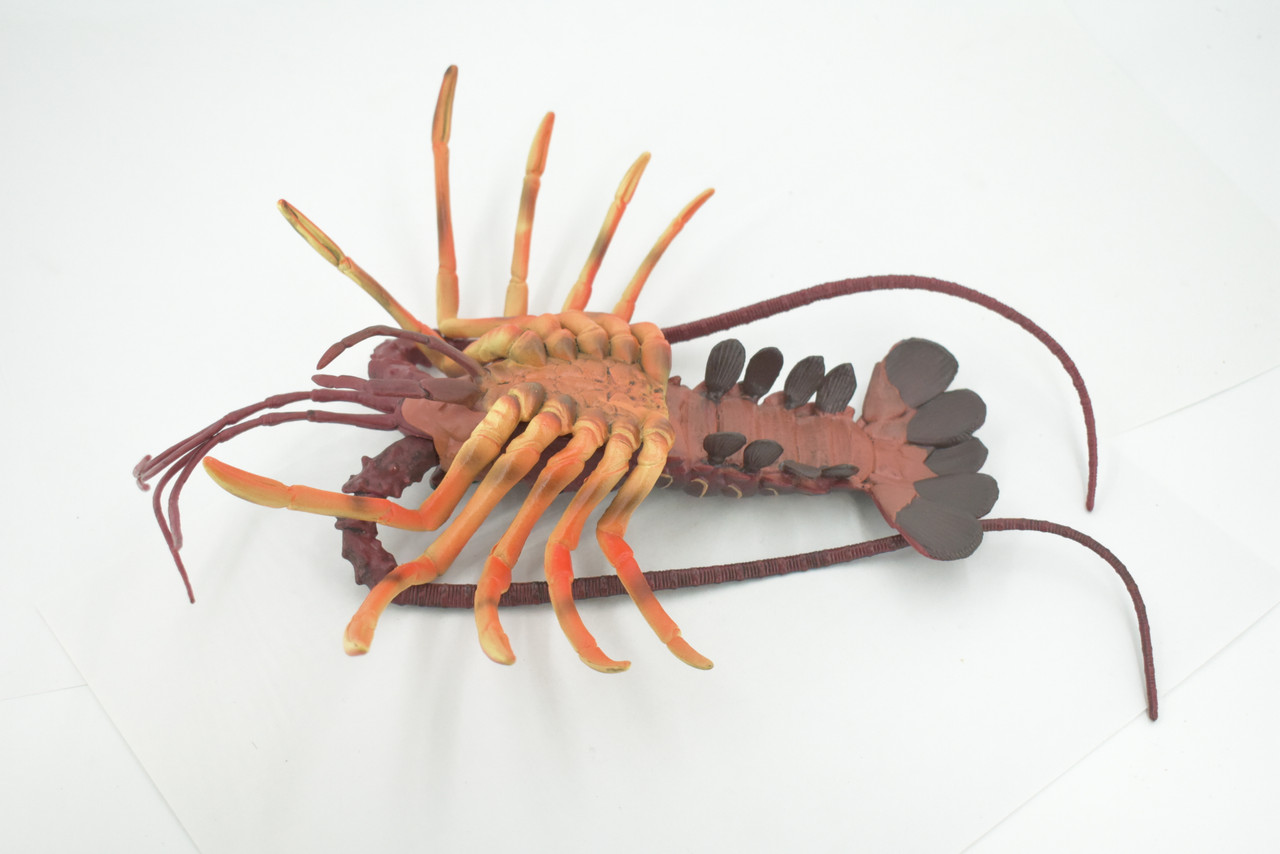 Lobster, Pacific, Australian, Crustaceans, Hand Painted, Museum Quality, Rubber, Realistic, Toy, Kids, Figure, Model, Educational, Gift,       12"     CH720 BB176  