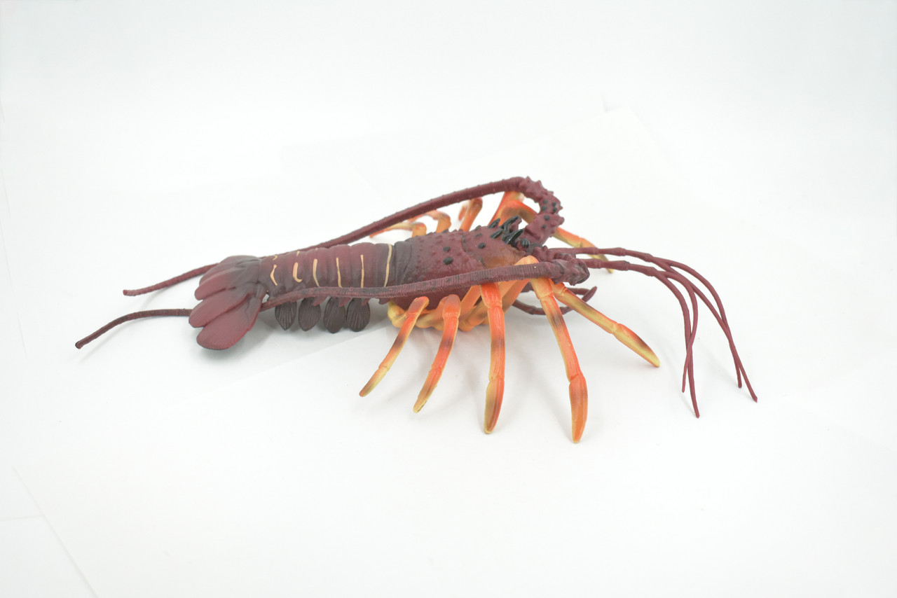 Lobster, Pacific, Australian, Crustaceans, Hand Painted, Museum Quality, Rubber, Realistic, Toy, Kids, Figure, Model, Educational, Gift,       12"     CH720 BB176  