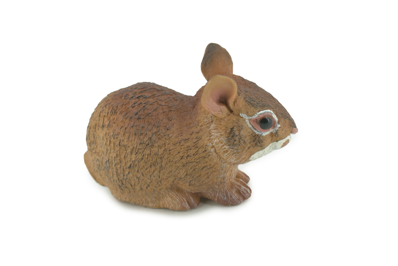 Rabbit, Hare, Cottontail Rabbit, Museum Quality, Hand Painted, Rubber, Animal, Toy, Figure, Realistic, Model, Replica, Kids, Educational, Gift,     4"     CH722 BB176