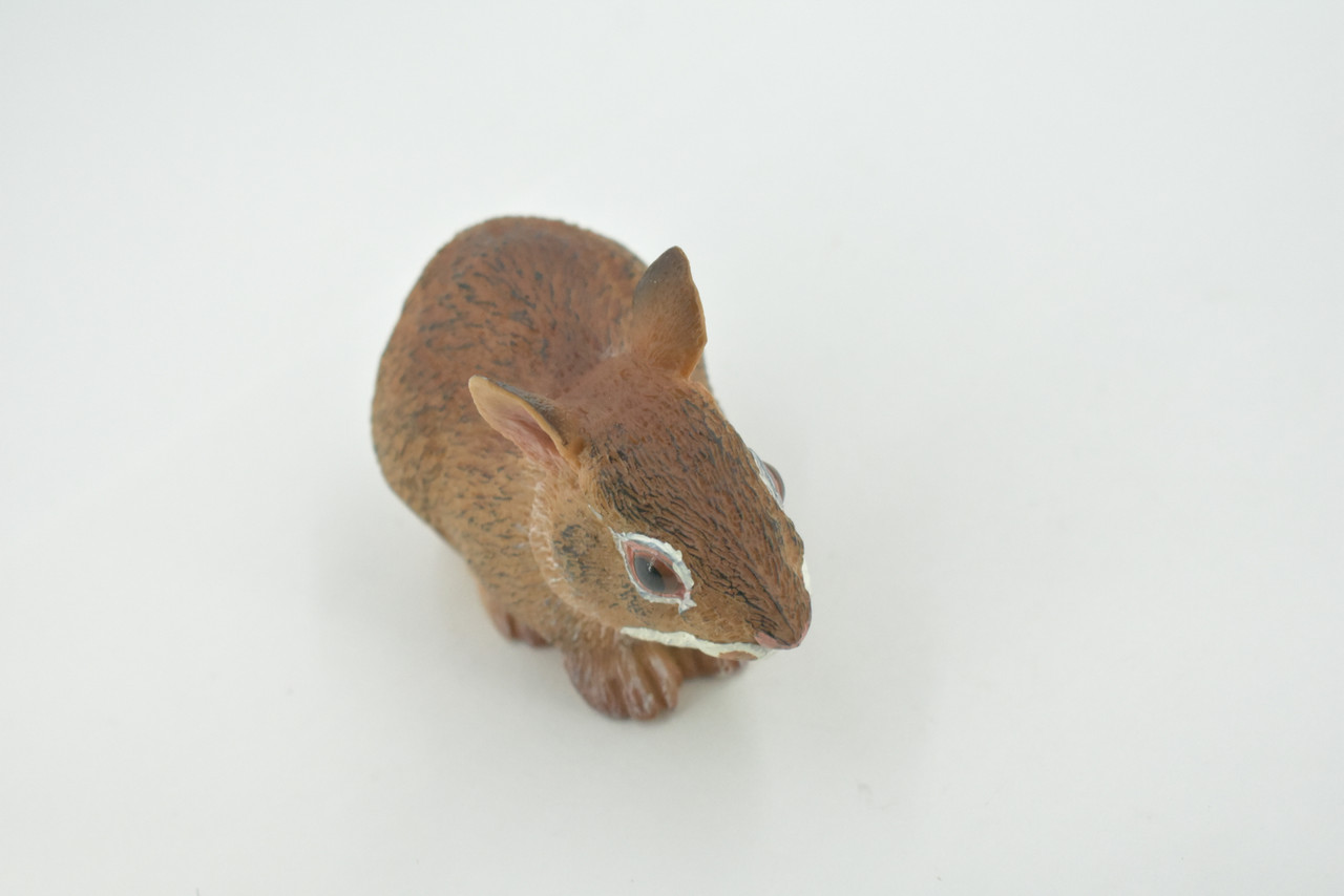 Rabbit, Hare, Cottontail Rabbit, Museum Quality, Hand Painted, Rubber, Animal, Toy, Figure, Realistic, Model, Replica, Kids, Educational, Gift,     4"     CH722 BB176