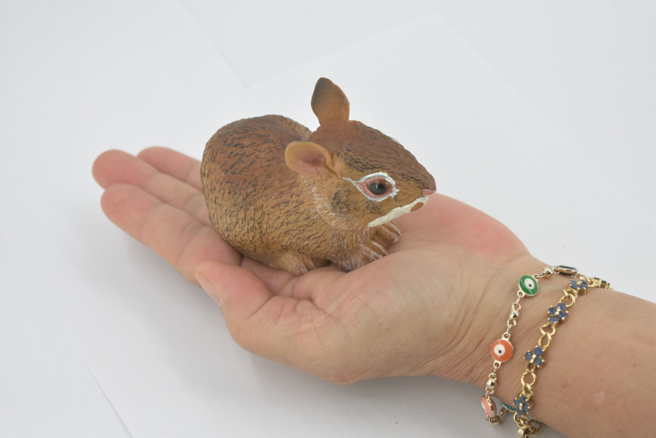 Rabbit, Hare, Cottontail Rabbit, Museum Quality, Hand Painted, Rubber, Animal, Toy, Figure, Realistic, Model, Replica, Kids, Educational, Gift,     4"     CH722 BB176