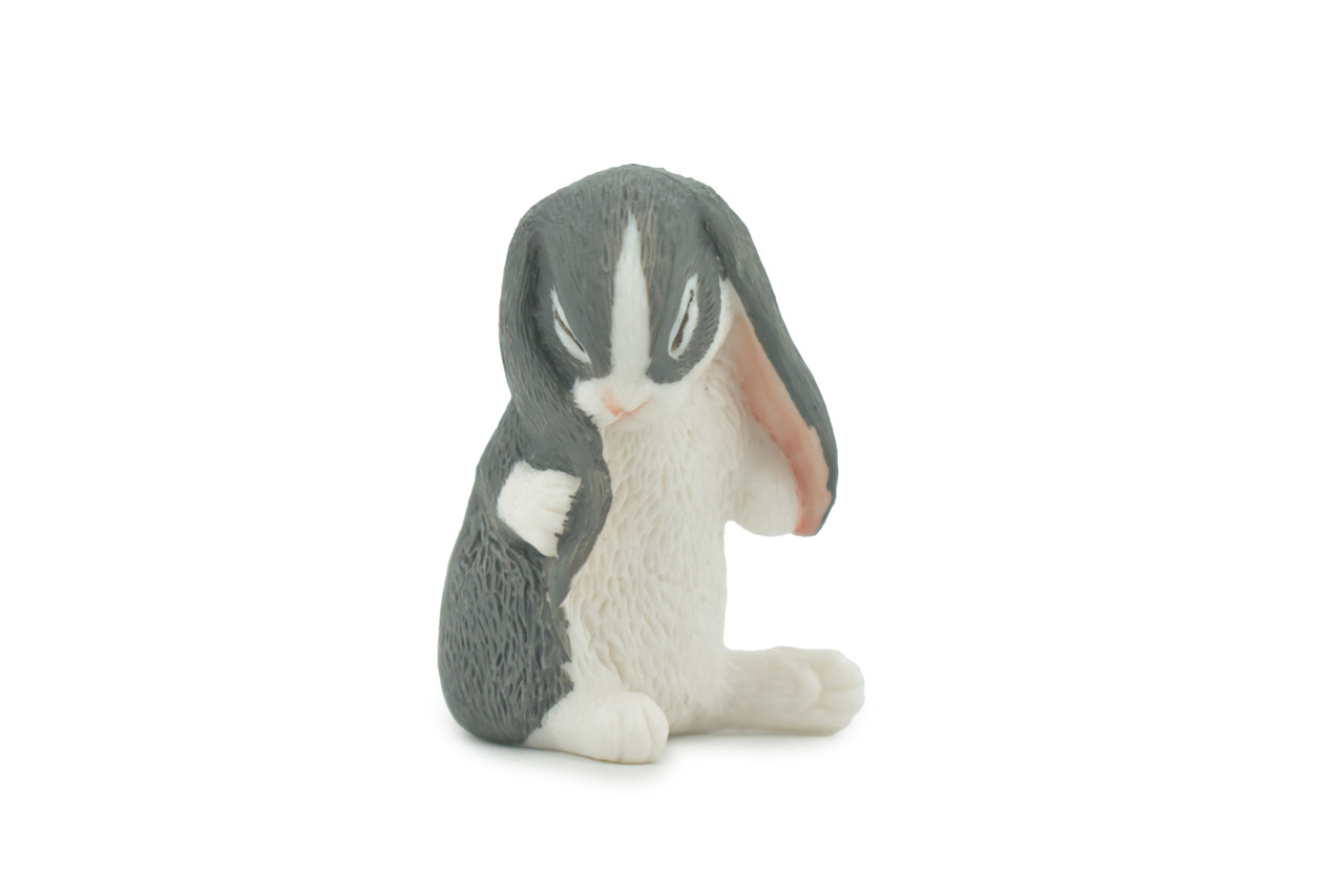 Rabbit, Lop Ear, Floppy Eared rabbit, Museum Quality, Hand Painted, Realistic, Rubber, Animal, Figure, Model, Toy, Kids, Educational, Gift,      2 1/2"      CH723 BB176 