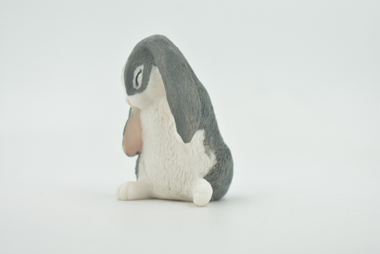 Rabbit, Lop Ear, Floppy Eared rabbit, Museum Quality, Hand Painted, Realistic, Rubber, Animal, Figure, Model, Toy, Kids, Educational, Gift,      2 1/2"      CH723 BB176 