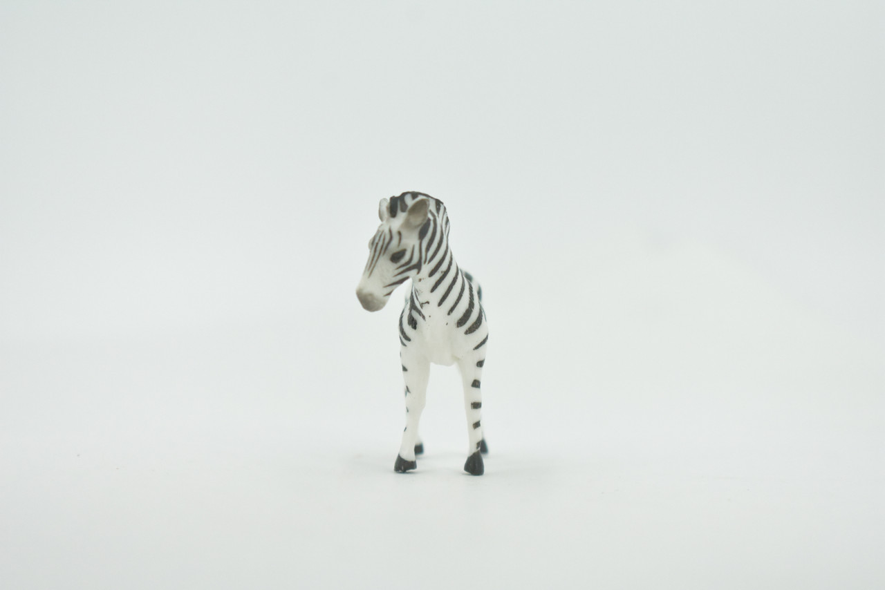 Zebra, African equines, Equidae, High Quality, Hand Painted, Rubber, Realistic, Figure, Model, Replica, Toy, Kids, Educational, Gift,       2"        CH725 BB176 