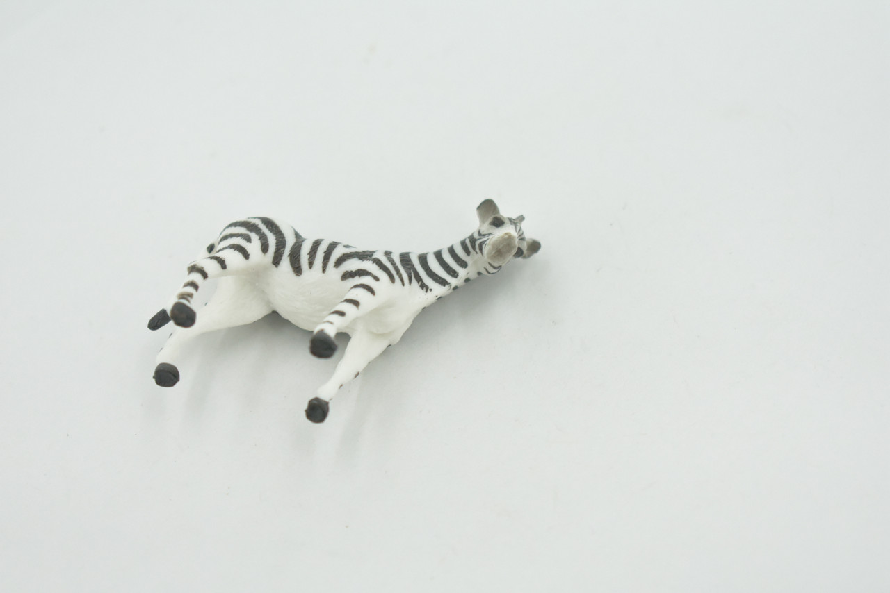 Zebra, African equines, Equidae, High Quality, Hand Painted, Rubber, Realistic, Figure, Model, Replica, Toy, Kids, Educational, Gift,       2"        CH725 BB176 