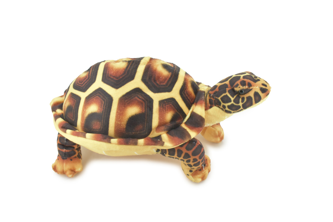 Turtle, Tortoise, Brown, Reptile, Stuffed Animal, Plush, Educational, Realistic Design, Figure, Replica, Soft, Toy, Kids, Educational, Gift,         11 "        RI41 BA2