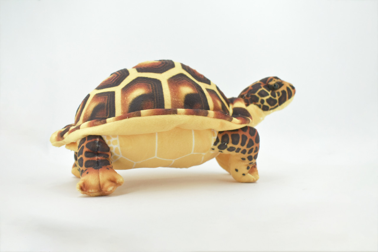 Turtle, Tortoise, Brown, Reptile, Stuffed Animal, Plush, Educational, Realistic Design, Figure, Replica, Soft, Toy, Kids, Educational, Gift,         11 "        RI41 BA2
