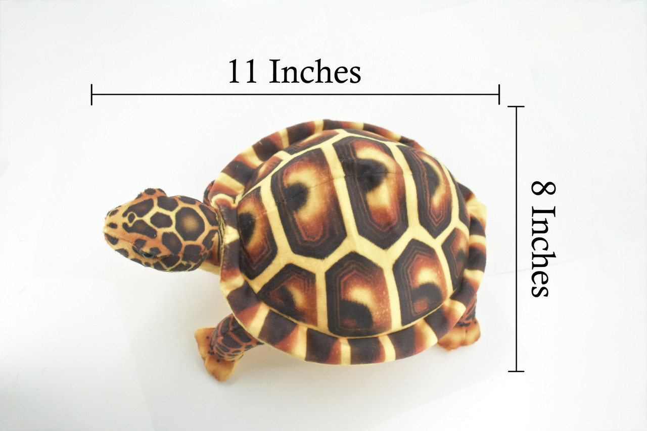 Turtle, Tortoise, Brown, Reptile, Stuffed Animal, Plush, Educational, Realistic Design, Figure, Replica, Soft, Toy, Kids, Educational, Gift,         11 "        RI41 BA2