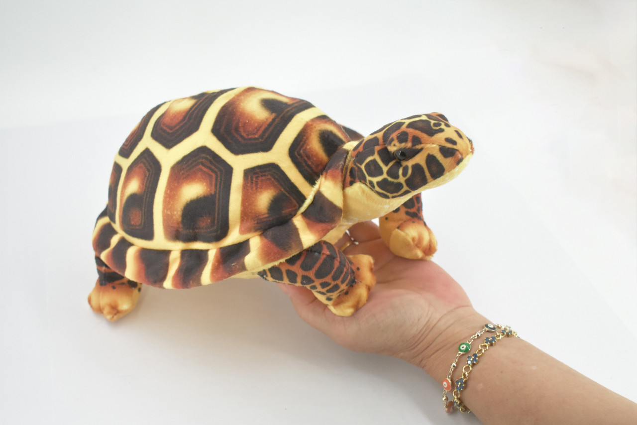 Turtle, Tortoise, Brown, Reptile, Stuffed Animal, Plush, Educational, Realistic Design, Figure, Replica, Soft, Toy, Kids, Educational, Gift,         11 "        RI41 BA2