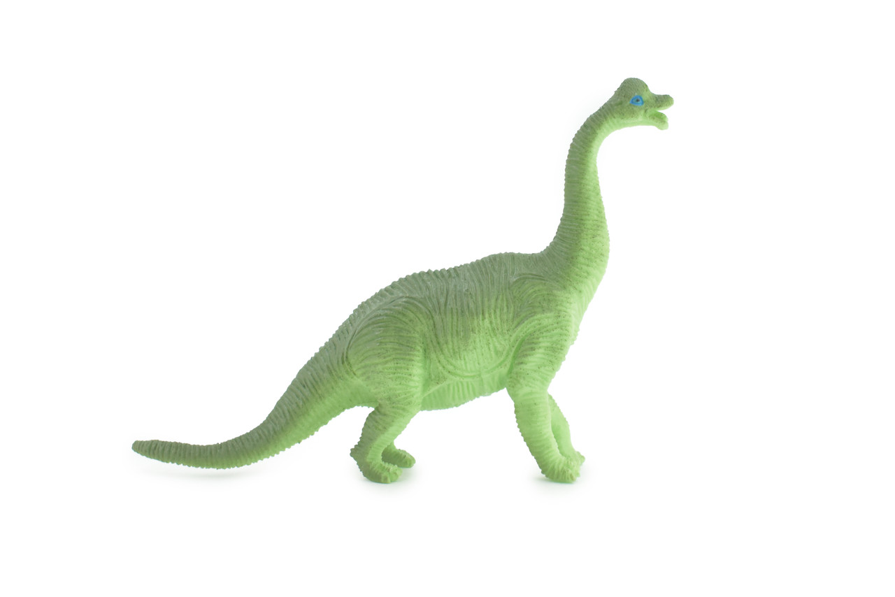 Brontosaurus, Herbivorous Sauropod Dinosaur, High Quality, Hand Painted, Rubber, Realistic, Figure, Model, Replica, Toy, Kids, Educational, Gift,    6"   RI18 B166 
