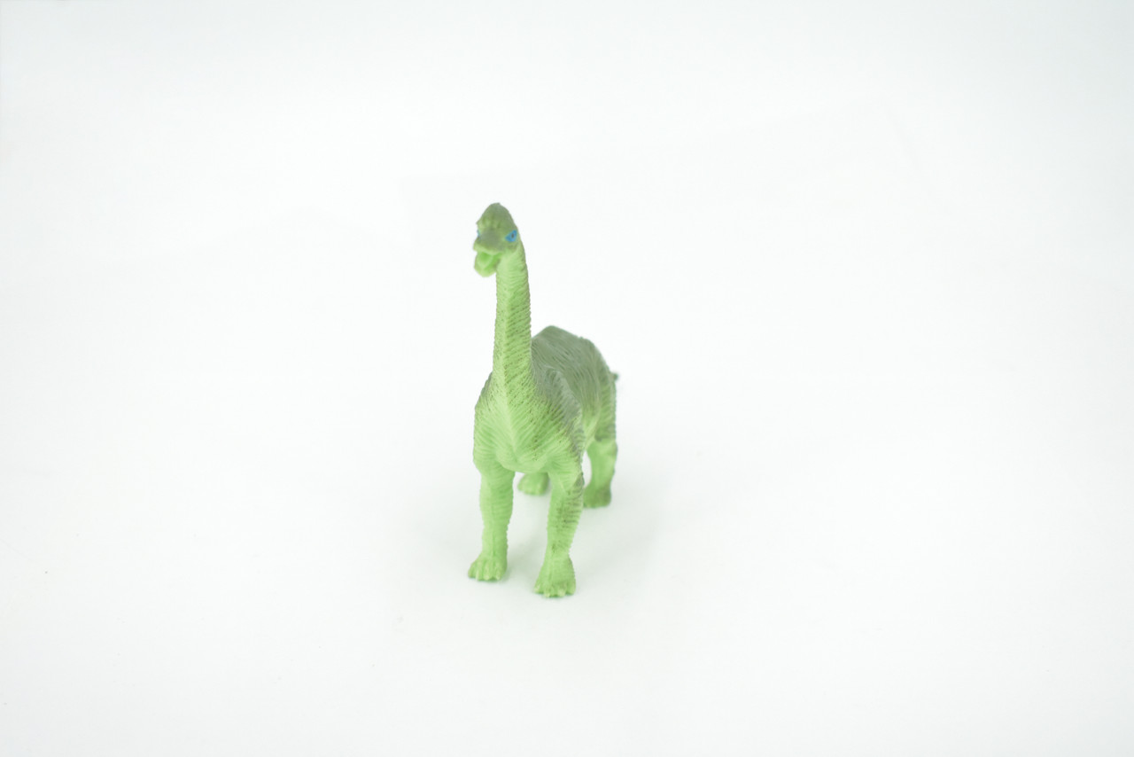 Brontosaurus, Herbivorous Sauropod Dinosaur, High Quality, Hand Painted, Rubber, Realistic, Figure, Model, Replica, Toy, Kids, Educational, Gift,    6"   RI18 B166 
