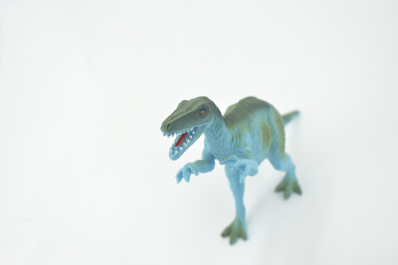 Albertosaurus, Albertosaurs, Cretaceous Dinosaurs, High Quality, Hand Painted, Rubber, Realistic, Model, Replica, Toy, Kids, Educational, Gift,      7"     RI25 B166  