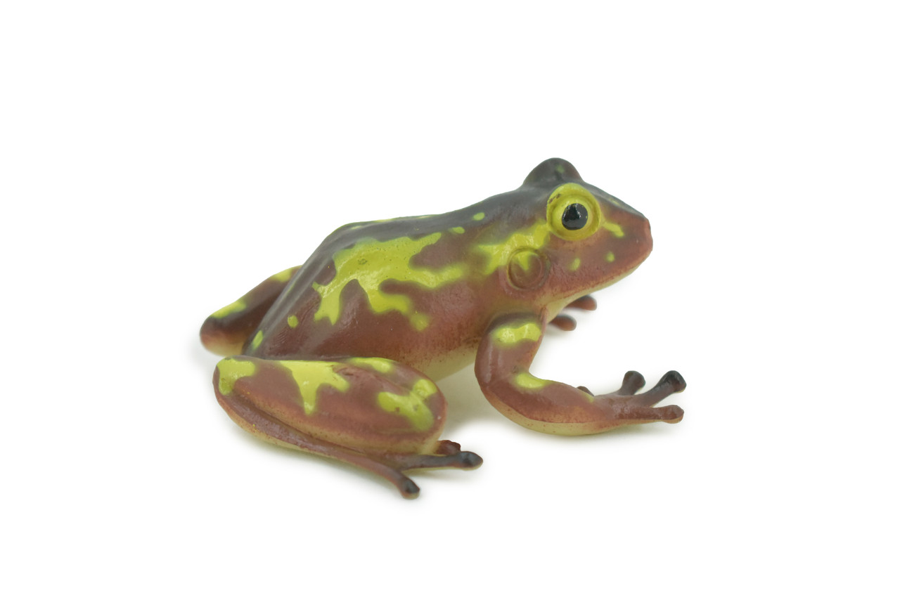 Frog, Brown & Yellow, Amphibians, High Quality, Hand Painted, Rubber, Realistic, Model, Replica, Toy, Kids, Educational, Gift,      2 1/2"     RI31 B177  