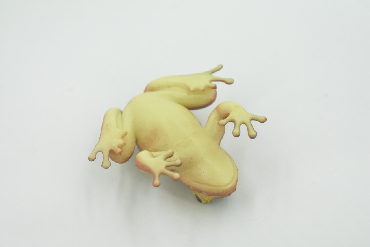 Frog, Brown & Yellow, Amphibians, High Quality, Hand Painted, Rubber, Realistic, Model, Replica, Toy, Kids, Educational, Gift,      2 1/2"     RI31 B177  